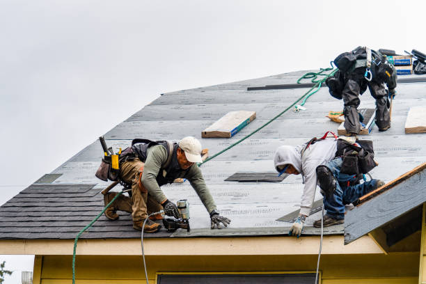Professional Gutter Installation technician working in La Motte, IA
